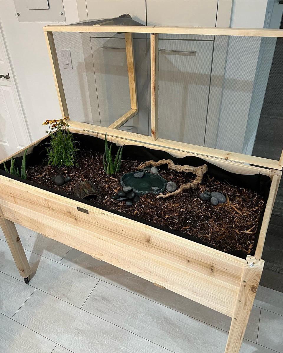 tortoise house for sale